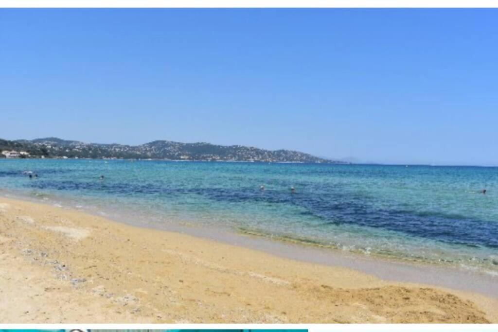 Villa les palmiers -Stretta di i mandarini
