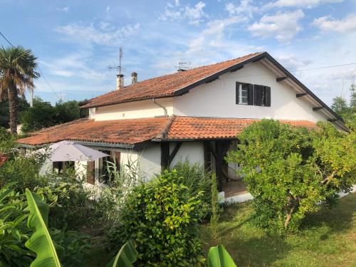 Villa Orcas