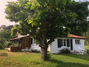Villa Orcas