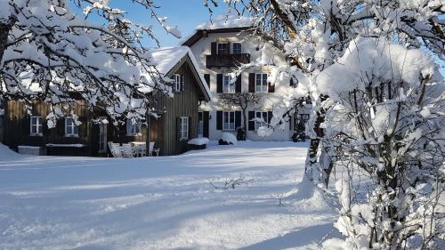 Villa Waldfrieden - Ferienwohnungen und -Haus