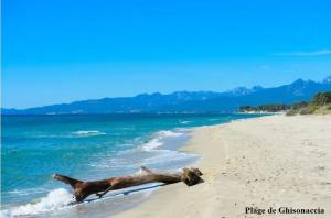 Vista Mare Ghisonaccia - Ange Nico -