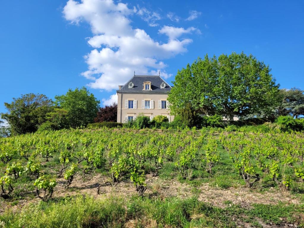 Vittoria Immobilier 10 34280 La Grande Motte