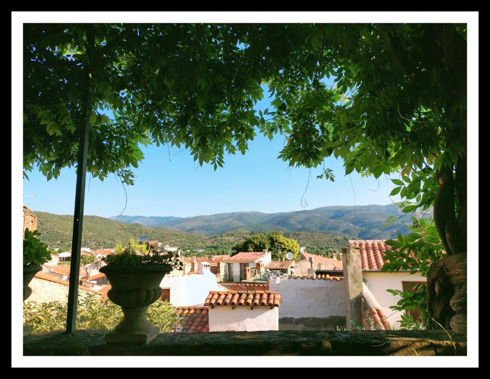 Vittoria Immobilier 3 34280 La Grande Motte