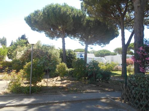 Vittoria Immobilier 3