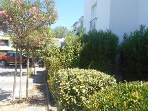 Vittoria Immobilier 3