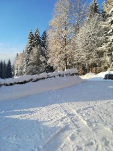 Waldferienhof am Nationalpark