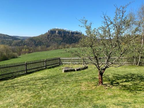 Waldhaus am Lilienstein