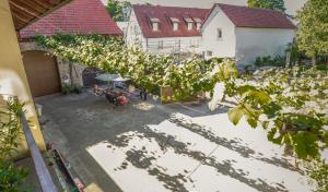 Appartements Weingut Knauer 1 Kühngasse 97337 Dettelbach Bavière