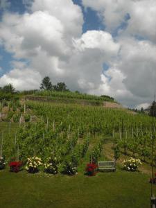Weingut Mariaberg