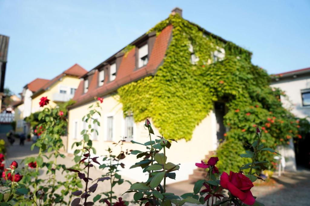 Appartements Weingut Martin Blass 8 Zellinger Straße 97250 Erlabrunn