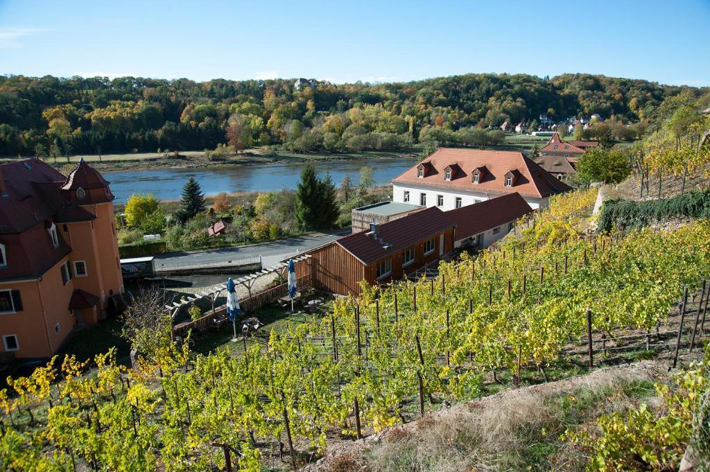 Weingut Martin Schwarz Dresdner Straße 71, 01662 Meissen