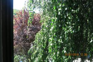 Wildgarten