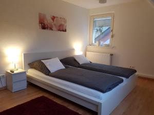 Wohnen im Springerhof