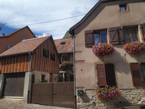 Appartments Rue Des Châteaux Ottrott france