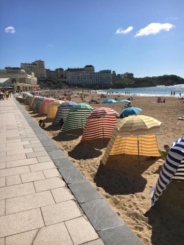 Apt-400m plage de Biarritz dans quartier résidentiel tous commerces très calme et tout confort Biarritz france