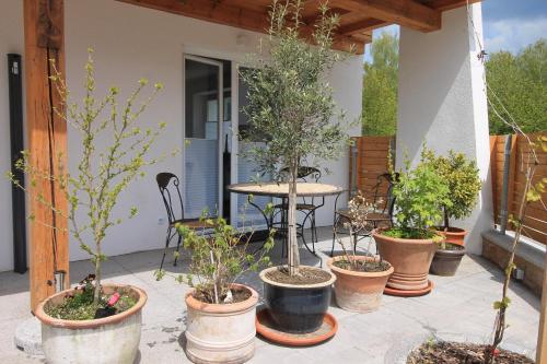 Appartements Arber Lofts 30 Dorfstraße Bayerisch Eisenstein