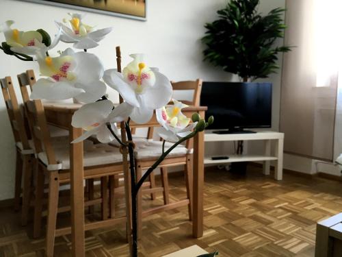 Appartement Arcaden Apartment Furtmayrstraße 8 Ratisbonne