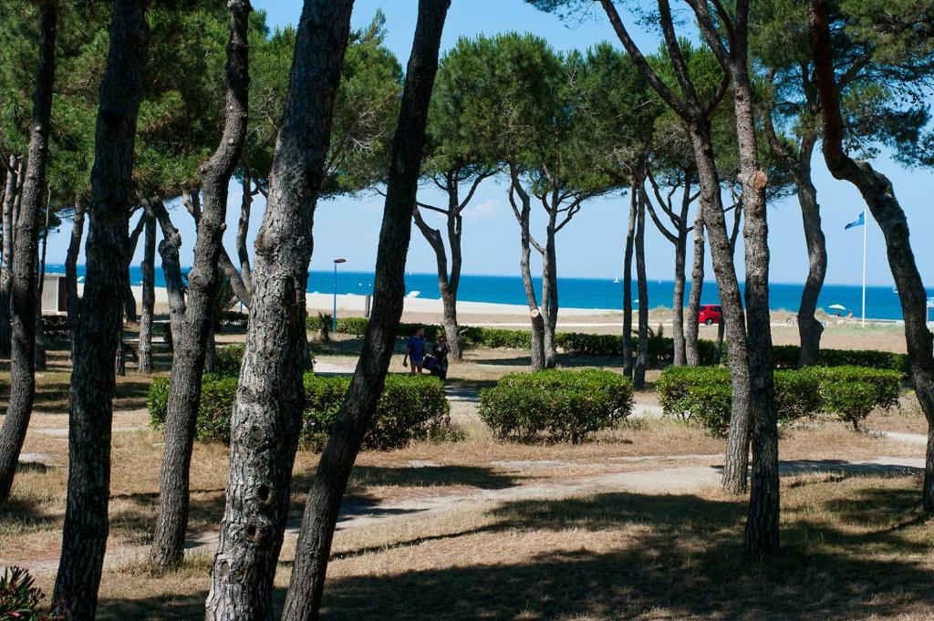 Appartement Argelès Plage Résidence Arena de Oro 94 Boulevard de la Mer, 66700 Argelès-sur-Mer