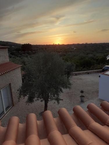 Séjour à la ferme Aromas dos Salgueiros Quintinha dos Salgueiros Castelo de Vide