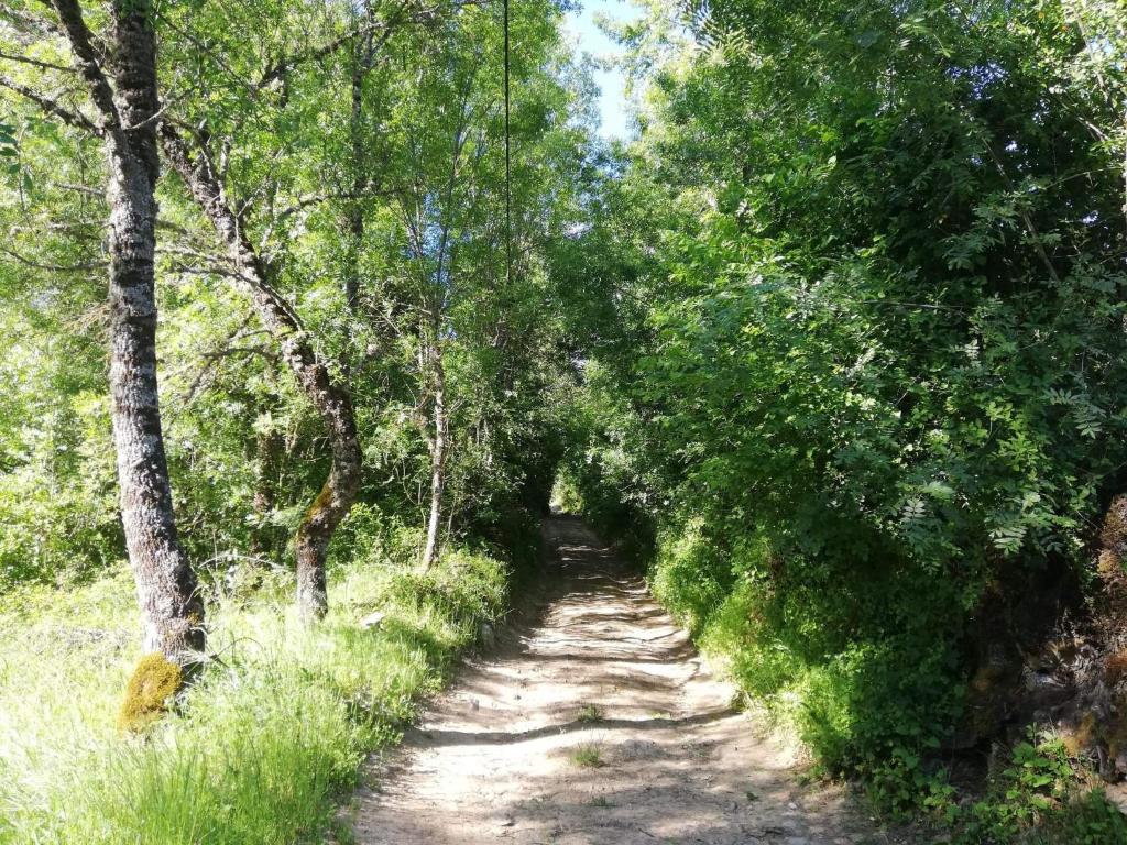 Séjour à la campagne As três irmãs Rua da Petisqueira, 5300-873 Bragance