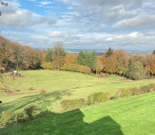 Ash Tree Vire france