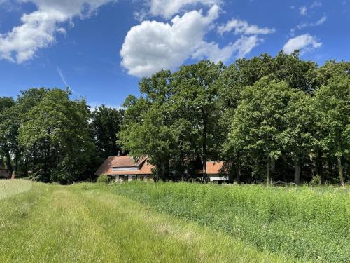 Appartement Atelier Tiedemann Vor den Höfen 3 b Soltau