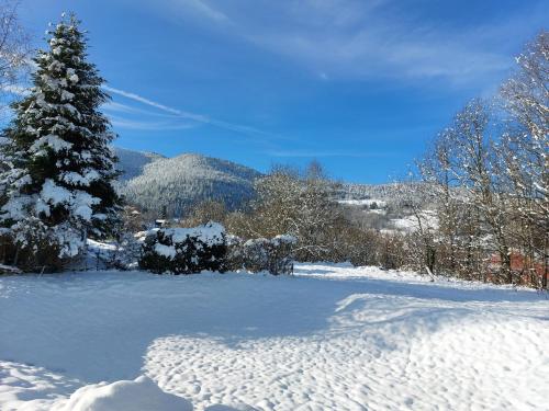 AU BONHEUR FAIT MAISON Saint-Maurice-sur-Moselle france