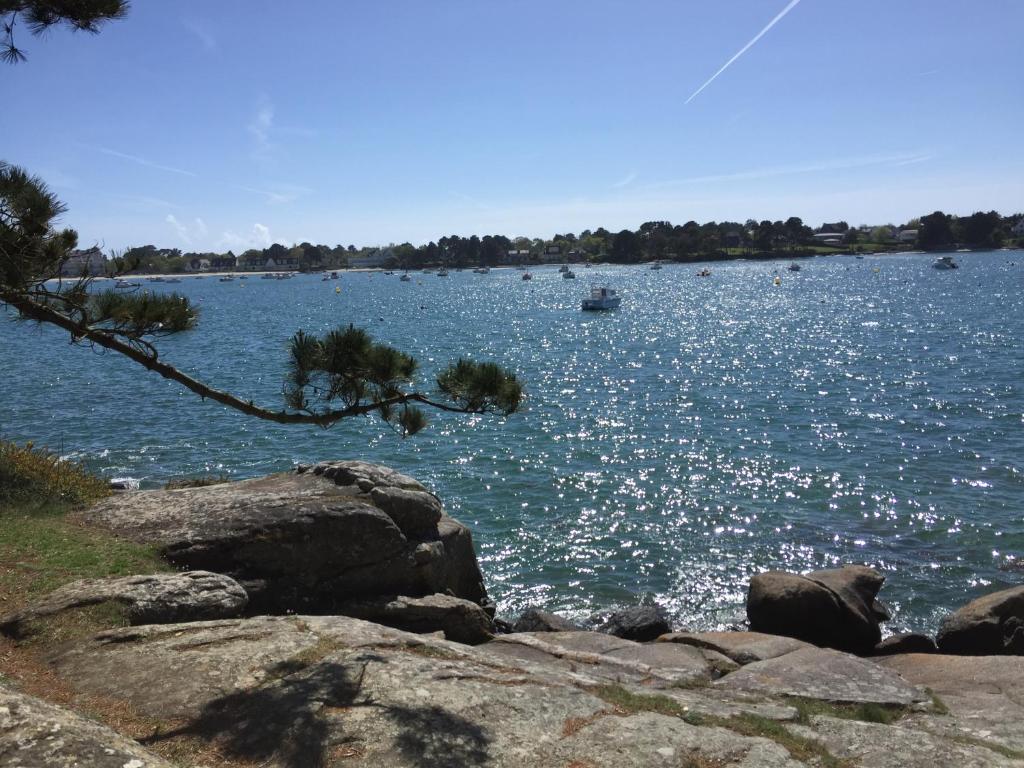 Appartements Au bord de l'eau à ConcarnOLoc 1 Rue Adigard, 29900 Concarneau