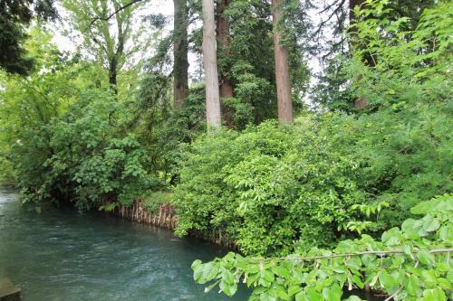 Au bord de la Sorgue LʼIsle-sur-la-Sorgue france