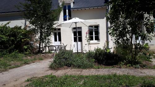 Au cœur des châteaux et des vignobles de la Loire Huismes france