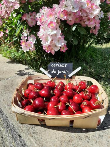 B&B / Chambre d'hôtes Au Chat Perché chambre double 18 Rue Maurice Cayen Mareil-sur-Mauldre