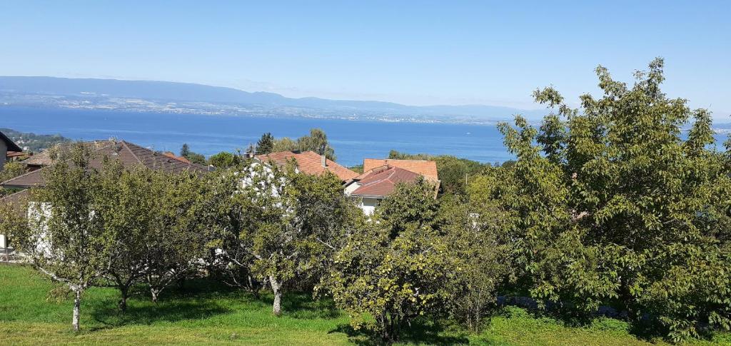 B&B / Chambre d'hôtes Au coucher du lac 80 Chemin des Ecureuils, 74500 Publier