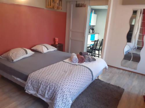 Appartement Au Coup de Cœur 7B Rue de la Grenoullière Colmar