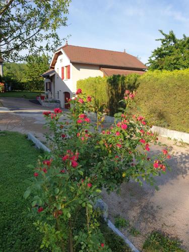 Au Grés du Vent Ruy france