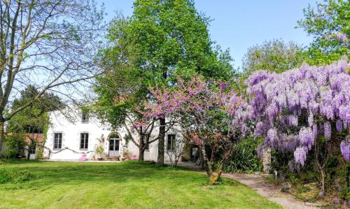 B&B / Chambre d'hôtes Au Logis de la Mongie 83 chemin de la Mongie Soullans