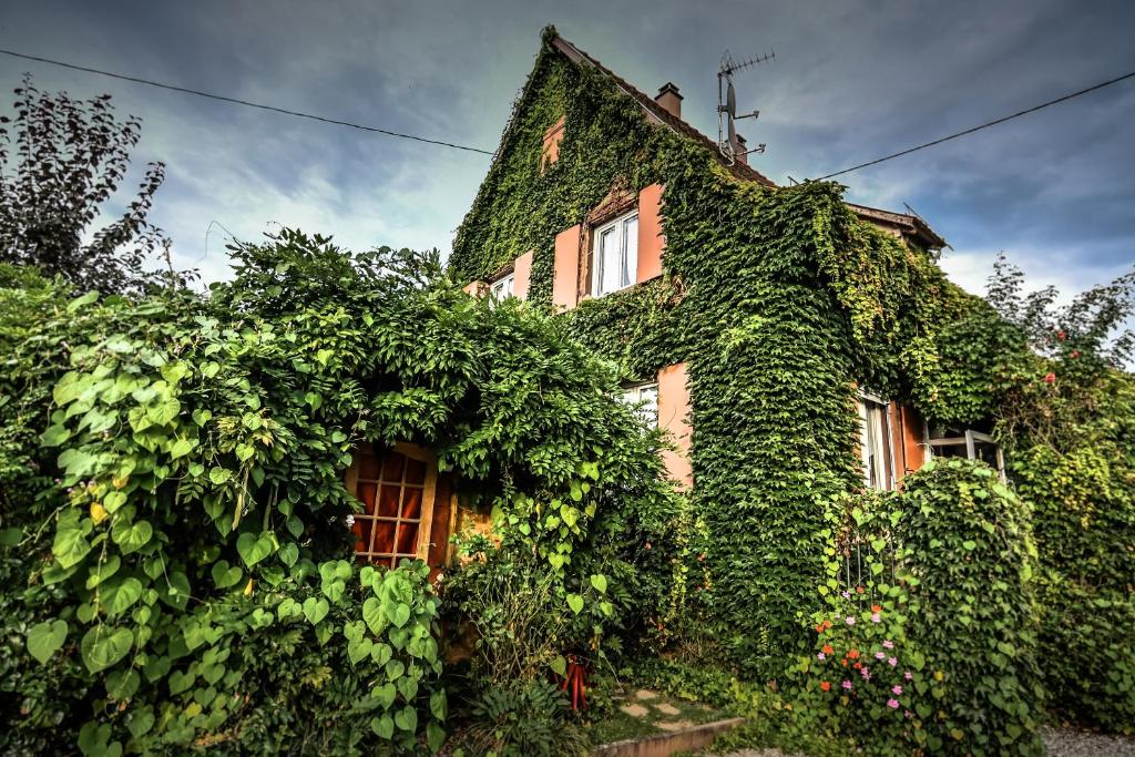 Maison de vacances ❊ AU MURMURE DE L'EAU AU COEUR DE L'ALSACE ❊ 8 Rue du Tabac, 67600 Ebersheim