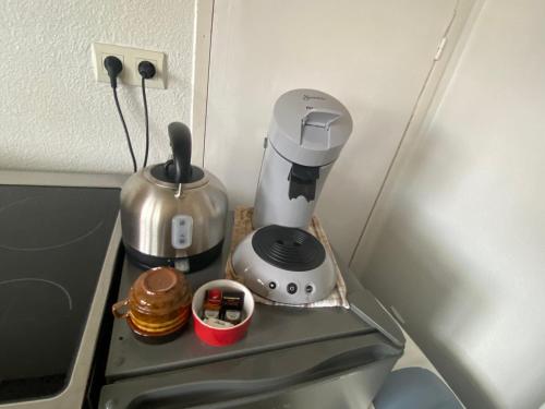 Au paradis d’Alsace 55 m2 nature & relax Ingwiller france