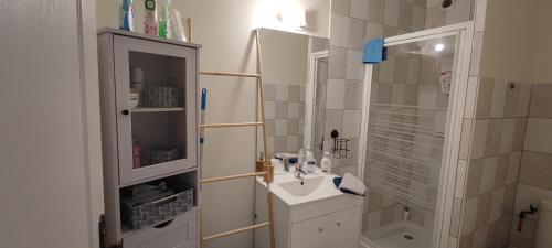 Appartement Au pied du Château 37 Rue Gambetta Bellegarde-du-Loiret