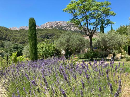 Au Soleil du Bonheur Lafare france