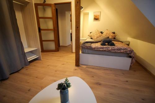 Appartement Au toit de l’Alsace - Loft au pied des Vosges 13 Rue des Bains Wattwiller