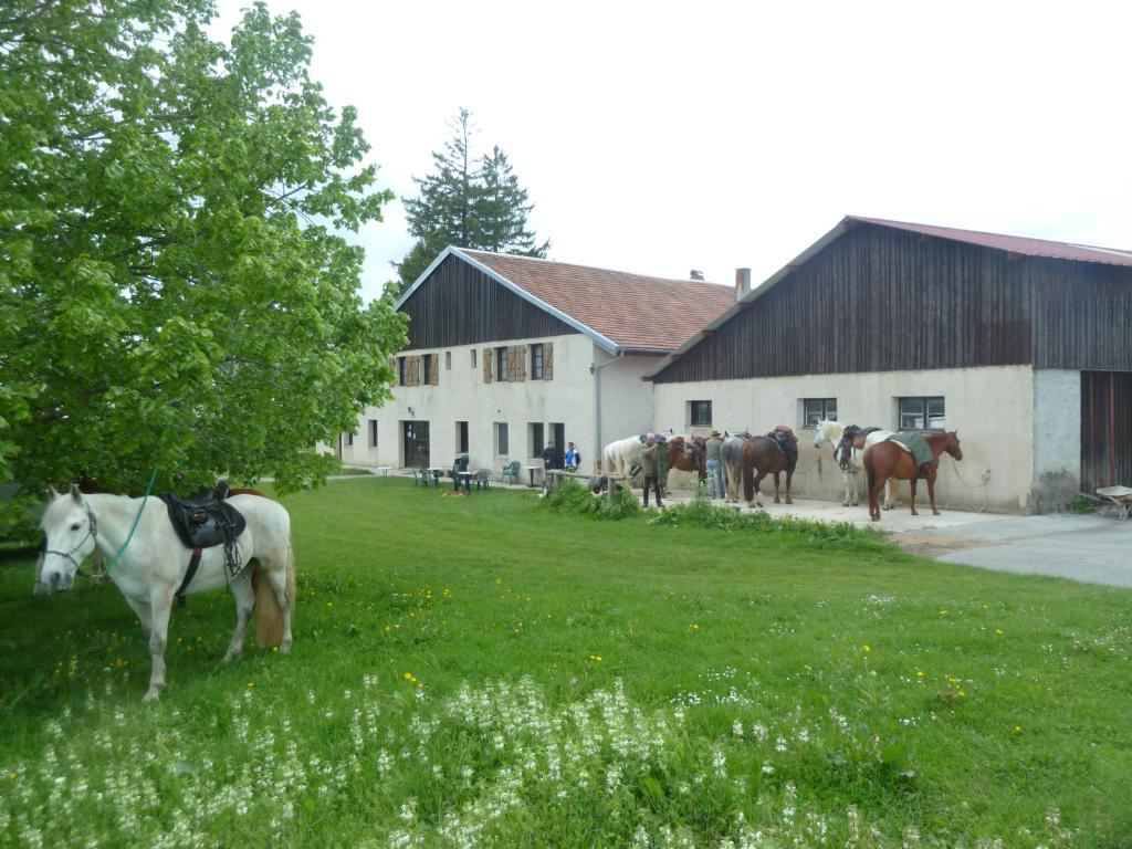 Auberge Auberge Le Sillet 1, rue Saint-Anne 39250 Longcochon