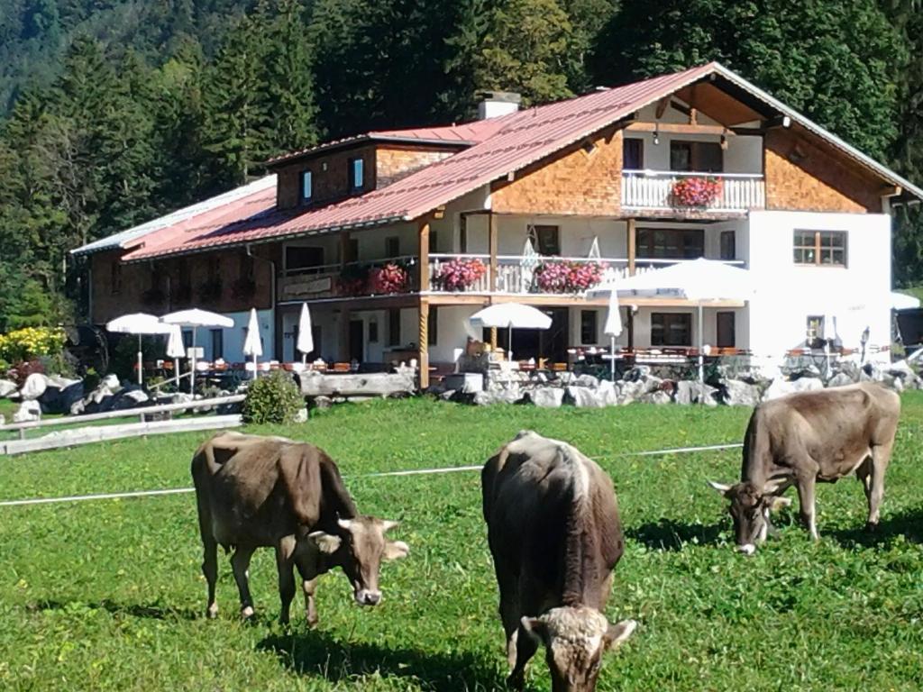 Berggasthof Riefenkopf Dietersberg 8, 87561 Oberstdorf