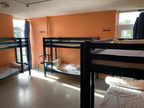 Auberge Granit Rose - Hébergement partagé pour tous en Auberge de Jeunesse - Vue sur mer