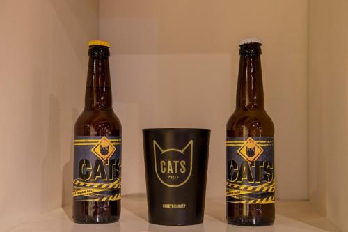 CATS Porto Hostel