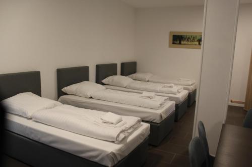David's Hostel