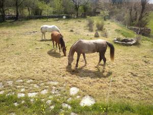 Auberge de jeunesse Gîte de Navacelles 2800 Chemin du Landre 30770 Blandas Languedoc-Roussillon