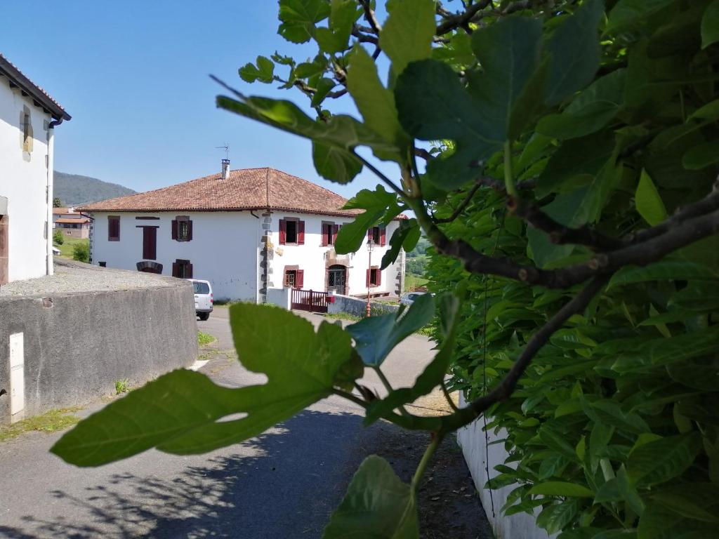 Auberge de jeunesse Gîte Le Relais de la Source 109 chemin de l'église 64220 Caro