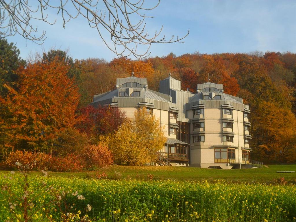 Auberge de jeunesse Hellmut-Waßmer-Jugendherberge Lörrach Steinenweg 40 79540 Lörrach