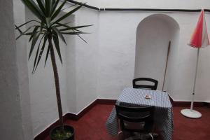 Hostel The White Butterfly