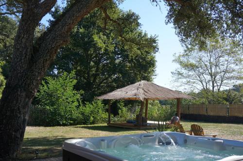 Nature Surf Camp